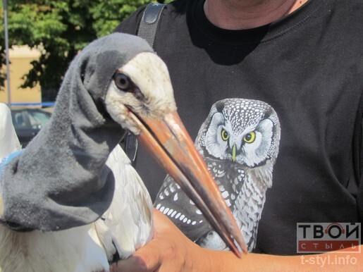 get_img9g4urw86.jpg get_img9g4urw86.jpg