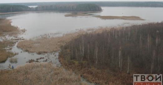 Міністэрства энергетыкі не адмаўляецца ад асушэння Святога балота