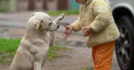 21 лістапада — Сусветны дзень вітанняў