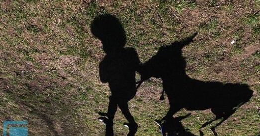 Пад Гродна ўпершыню прайшлі асліныя бягі (фота)