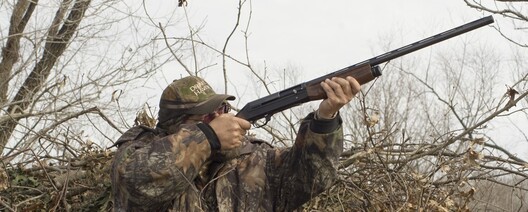 hunting.jpg hunting.jpg