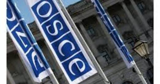 Намеснік старшыні ПА АБСЕ: Прэзідэнцкія выбары могуць стварыць новыя ўмовы і магчымасці для Беларусі