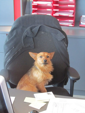 img_1944.jpg img_1944.jpg