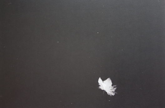 1/15 img_6783_logo.jpg