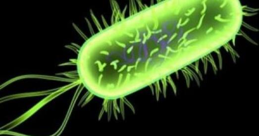 Паўтарагадовы хлопчык памёр у Баранавічах ад менінгакокавай інфекцыі