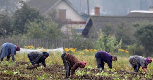 Леанід Заіка: Траціна калгасаў усё роўна будуць стратнымі