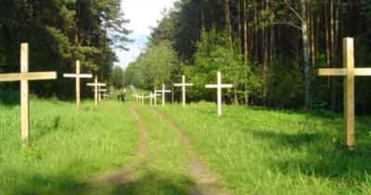 Таварыства аховы помнікаў не хоча мець дачынення да праблемаў Курапатаў