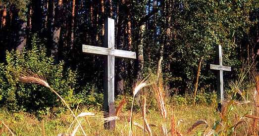 7 лістапада БХД запрашае на добраўпарадкаванне Курапатаў