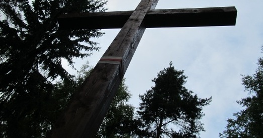 Лёс “Бульбаш-холу” вырашыцца пасля распрацоўкі дэтальнага плану Курапатаў