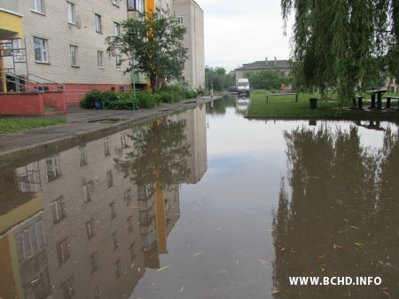 luzhyny_na_darozie.jpg luzhyny_na_darozie.jpg