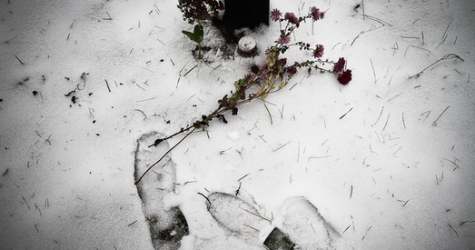 29 кастрычніка 1937 у Мінску расстралялі цвет нацыянальнай эліты