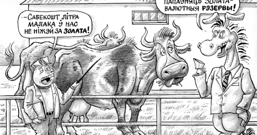 Дзесяць авечак і велізарная колькасць воўны