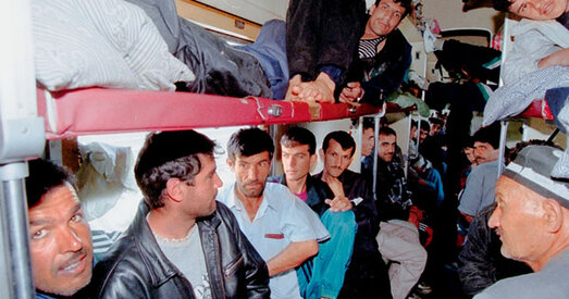 Цень Бірулёва