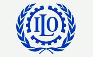 mot_245.jpg mot_245.jpg