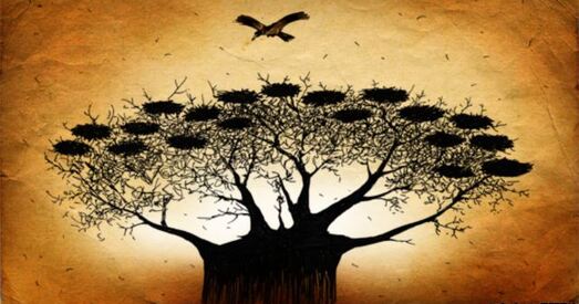 Зеленаскурая пашпарціна