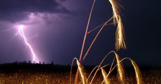 Гідраметэацэнтр перадаў чарговае штармавое папярэджанне пра навальніцы і ліўні