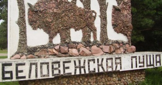 Сусветнай спадчыны ў Беларусі стала менш