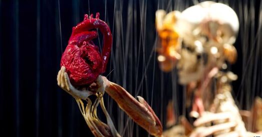 "Ісламская дзяржава" дазваляе адбіраць органы ў адступнікаў, нават калі яны памруць ад гэтага