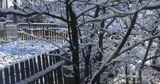 На паўднёвым усходзе Магілёўшчыне прайшоў моцны снегапад