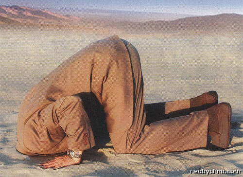 ostrich_3.jpg ostrich_3.jpg