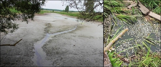 ozero_blok.jpg ozero_blok.jpg