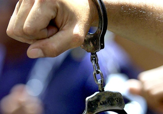 palicejskaja_dziarzava.jpg palicejskaja_dziarzava.jpg