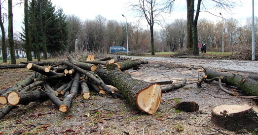 Мінчане просяць Лукашэнку выратаваць парк 40-годдзя Кастрычніка