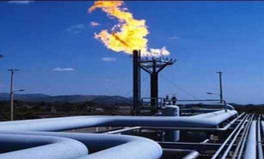 pastauki_hazu_va_ukrainu.jpg pastauki_hazu_va_ukrainu.jpg