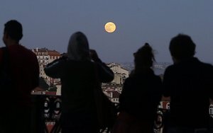 pounia.jpg pounia.jpg