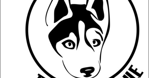 БХД заклапацілася правамі жывёлаў