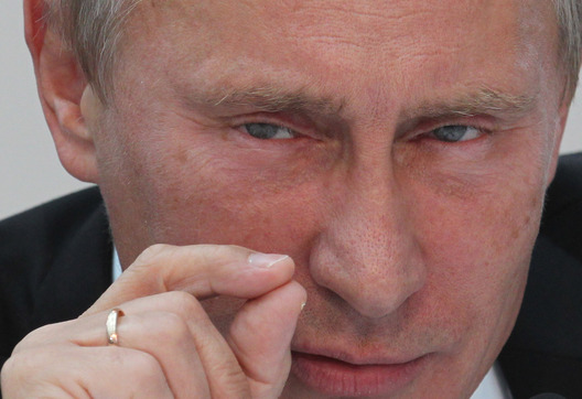 pucin_czut_czut_pamuczat.jpg pucin_czut_czut_pamuczat.jpg