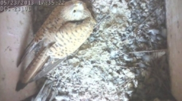 pustalha_hrodna.jpg pustalha_hrodna.jpg