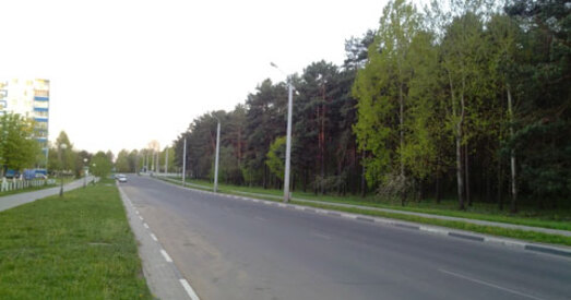 Абаронцы салігорскага лесапарку зноўку б'юць трывогу