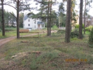 slonim_znish_les_2.jpg slonim_znish_les_2.jpg