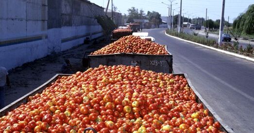 Кіроўца з грузам таматаў збег ад Рассельгаснагляда ў Беларусь