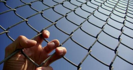 Cёння адбудуцца суды над Маладафронтаўцамi