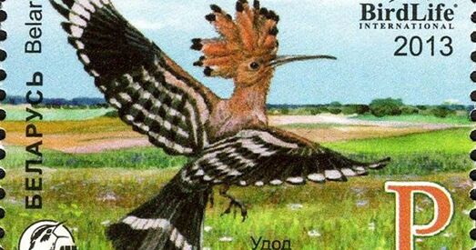 Як Зміцер Дашкевіч мусіў даказваць, што не галасаваў «за гэтага ўдода»