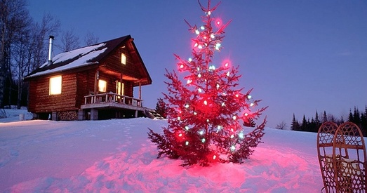 Навагодняя ноч у аграсядзібе будзе каштаваць 50 долараў на чалавека