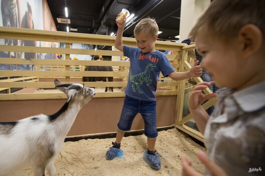 zaa1024x682.jpg zaa1024x682.jpg