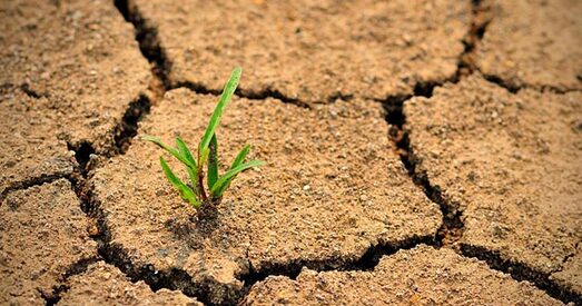 У Беларусі назіраецца атмасферная засуха