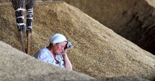 Не дабралі бульбы і збожжа