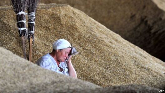 zbozza.jpg zbozza.jpg