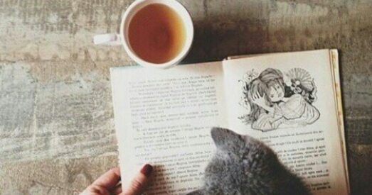 На выходных — апошнія восеньскія Жывыя бібліятэкі: адразу ў трох гарадах