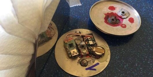 zhuchok_u_survetnicy.jpg zhuchok_u_survetnicy.jpg