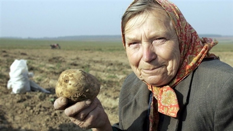 znrocy_w465h262.jpg znrocy_w465h262.jpg