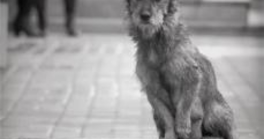 Хто застанецца незадаволеным?