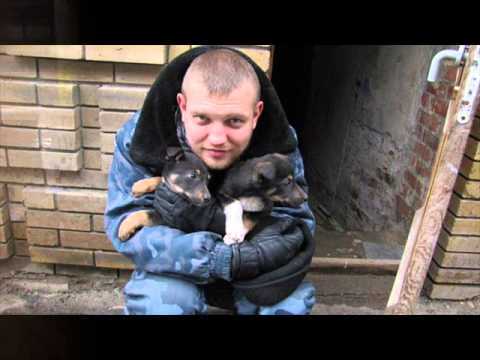 zyznieuski.jpg zyznieuski.jpg