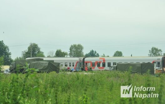 01_1_768x484.jpg 01_1_768x484.jpg