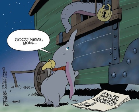 peta.org peta.org