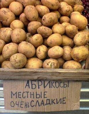 054579_n.jpg 054579_n.jpg